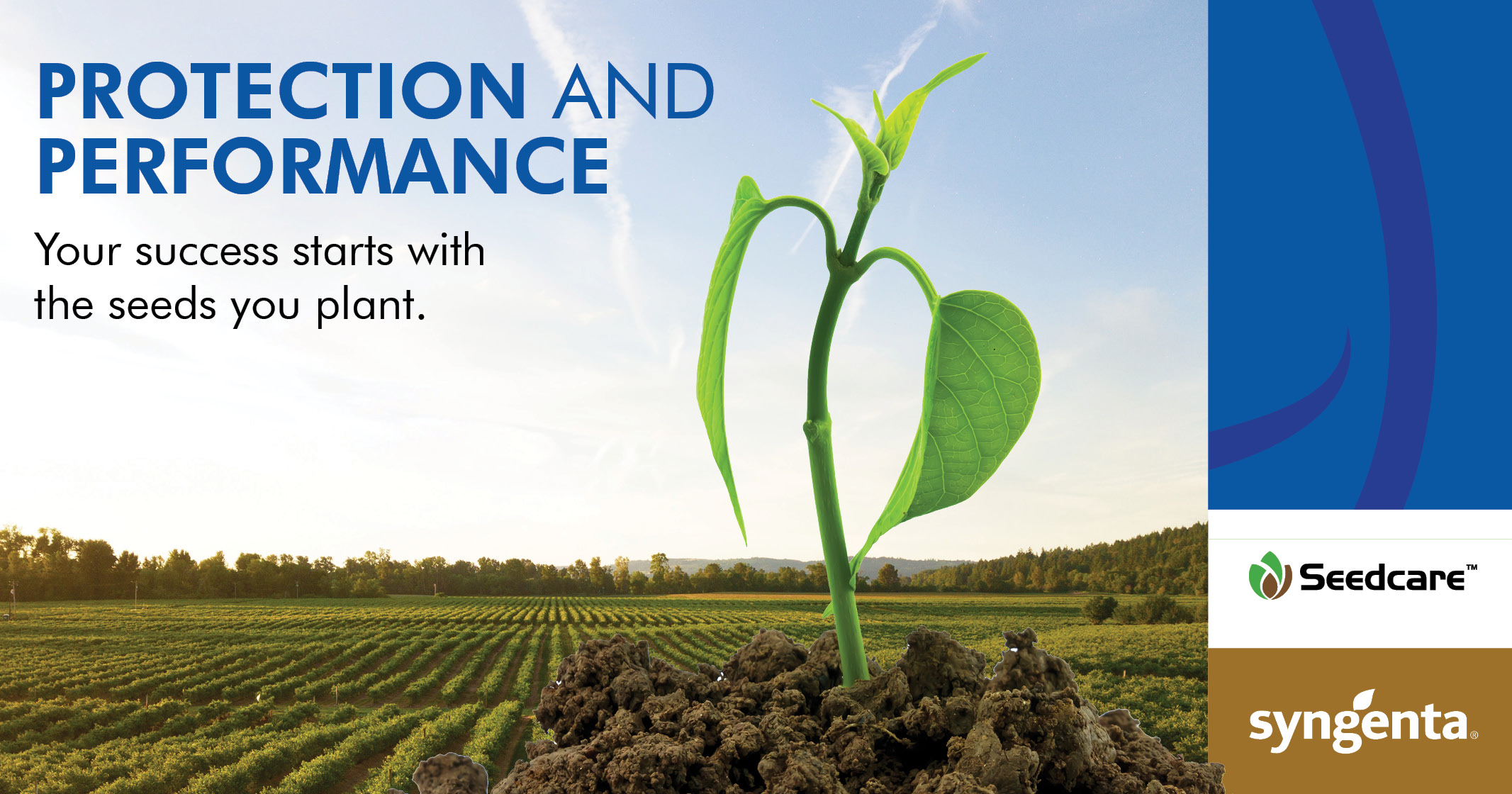 Protection and performance | Your success starts with the seeds you plant | Syngenta Seedcare