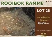 Rooibok ramme | Agrimar
