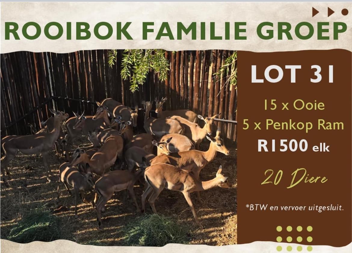Rooibok familie groep | Agrimar