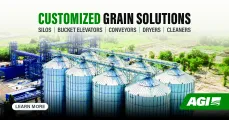 Customized grain solutions | AGI EMEA