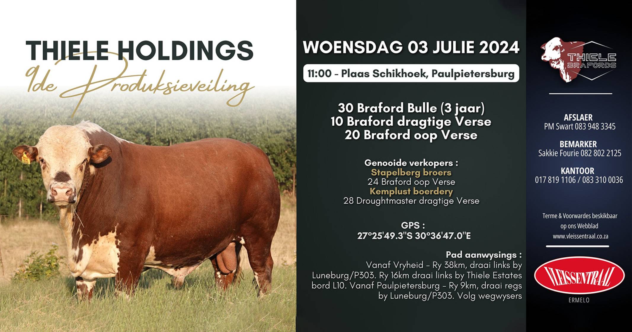 Thiele Holdings 9de produksieveiling / 3 Julie 2024 / Paulpietersburg