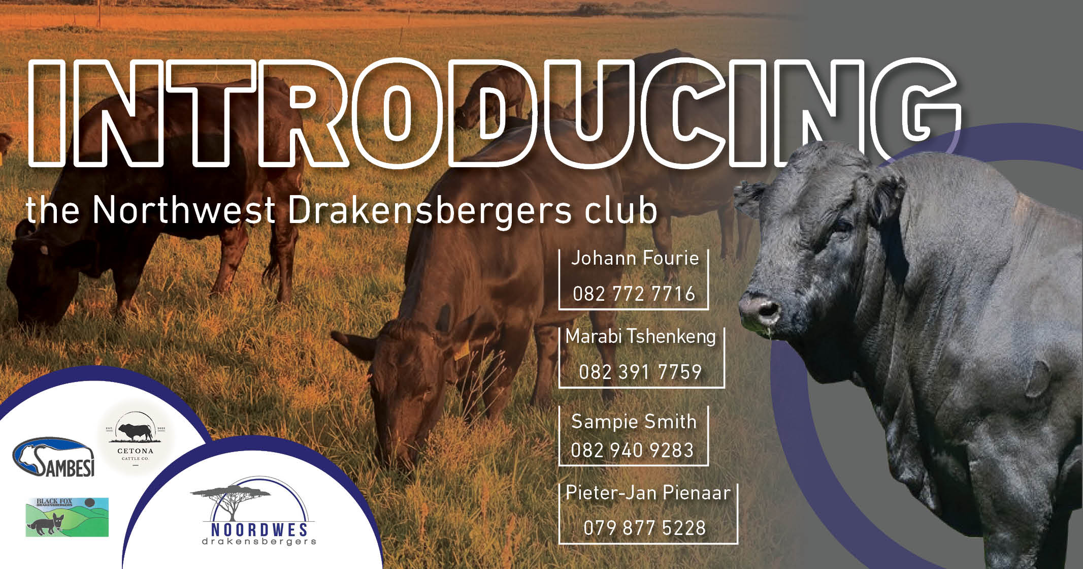 Introducing the Northwest Drakensbergers club