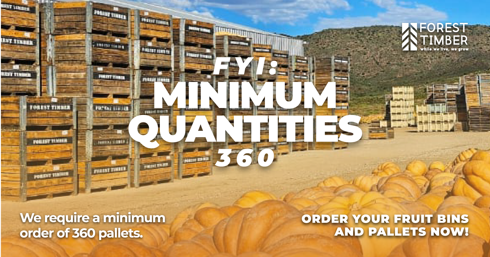 FYI: Minimum quantities 360 | Pallets and fruit bins | Forest Timber