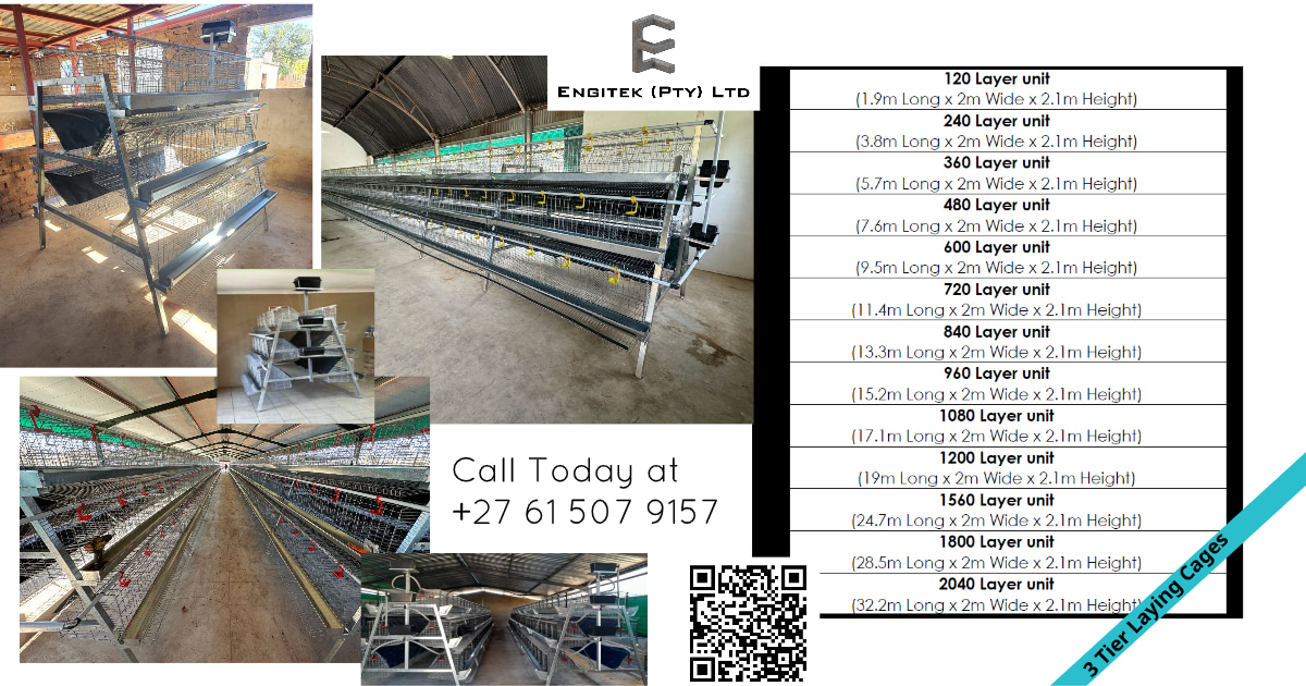3 Tier Laying Cages
