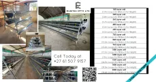 3 Tier Laying Cages