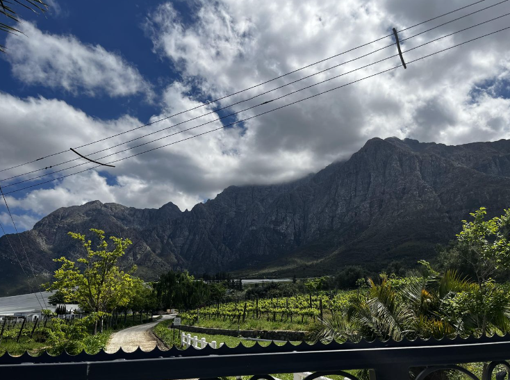 Small Holding For Sale in Brandwacht | Make an offer | Agrisell