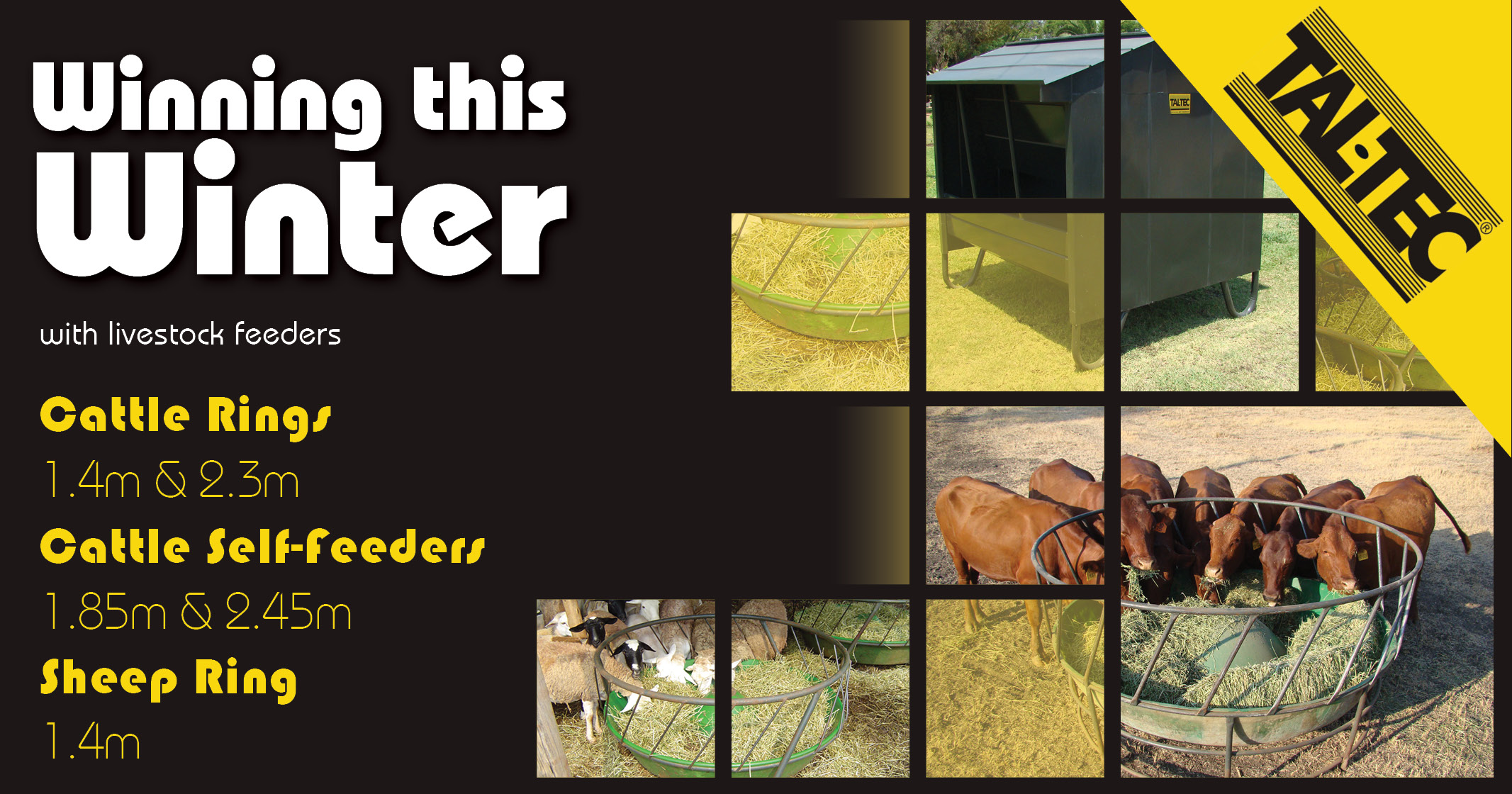 Winning this winter with livestock feeders | Tal-Tec