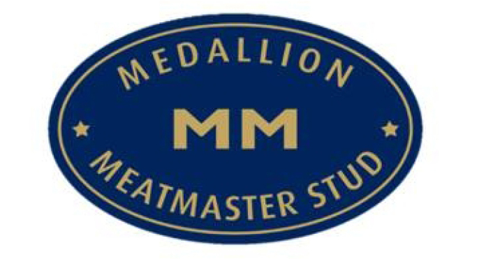 Medallion Meatmaster aanbod op Pinnacle MM Veiling | 27 Oktober 2023 | George