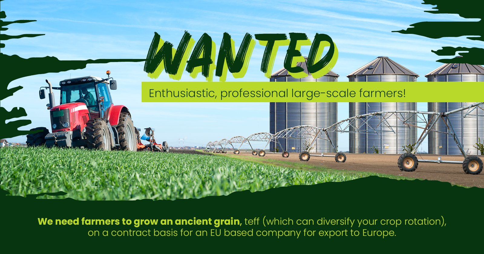 WANTED | Enthusiastic, professional large-scale farmers! | Cape Fresh Peonies