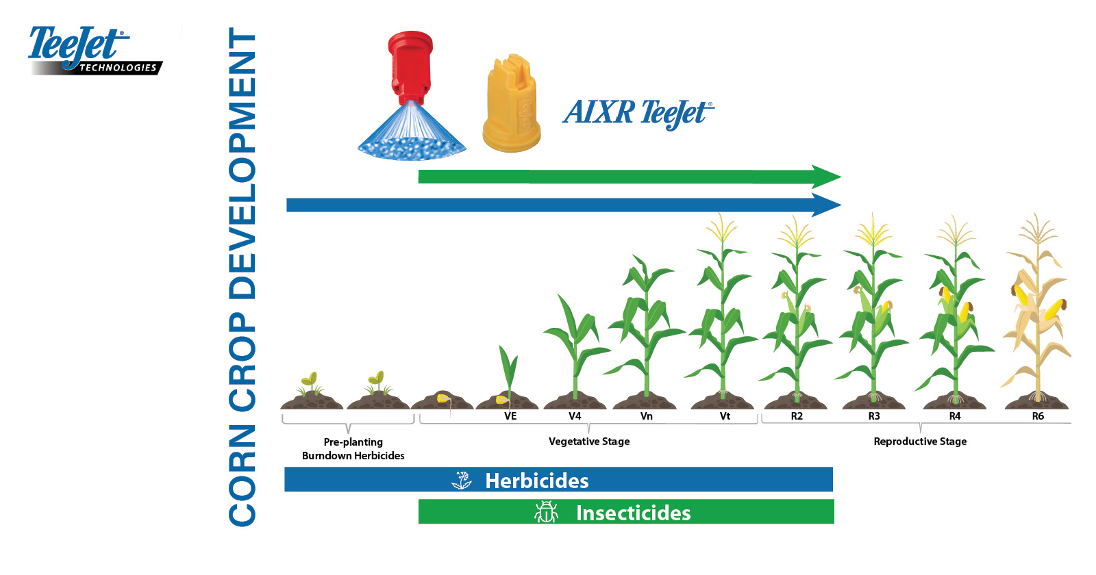 Corn crop development | AIXR 110° VK Ceramic | TeeJet Technologies