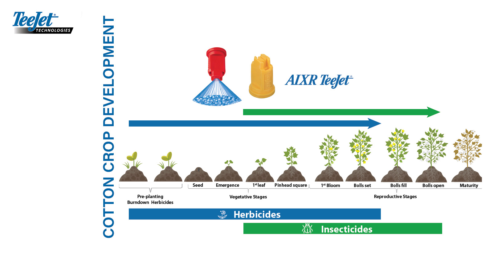 Cotton crop development | AIXR 110° VK Ceramic | TeeJet Technologies