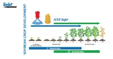 Soybean crop development | AIXR 110° VK Ceramic | TeeJet Technologies