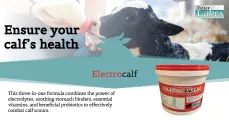 Ensure your calf's health with Electrocalf | Four Lakes