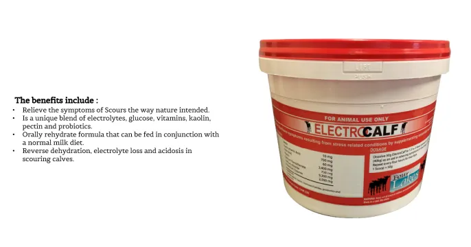 Ensure your calf's health with Electrocalf | Four Lakes