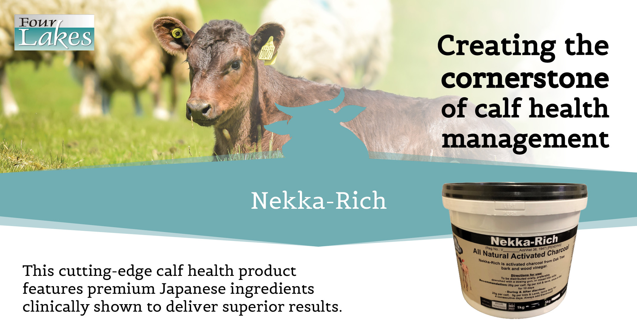 Creating the cornerstone of calf health management with Nekka Rich | Four Lakes