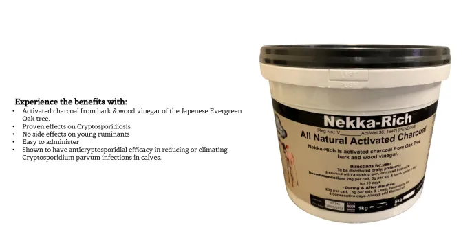 Creating the cornerstone of calf health management with Nekka Rich | Four Lakes