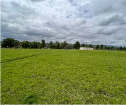 Agricultural Farm near Pietermaritzburg with Poultry Facilities, Factory, and Residential Units.