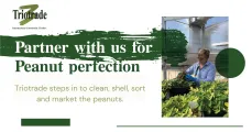 Partner with us for peanut perfection | Triotrade