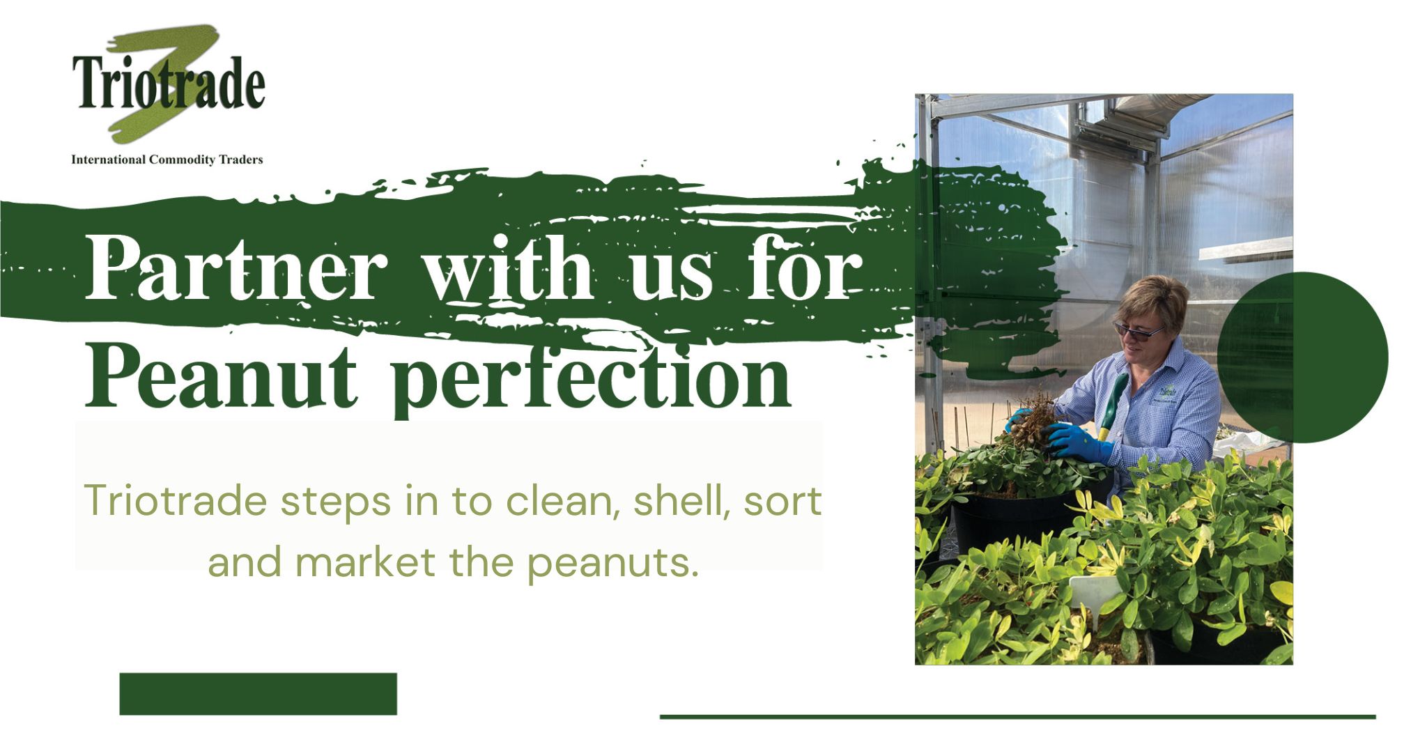 Partner with us for peanut perfection | Triotrade