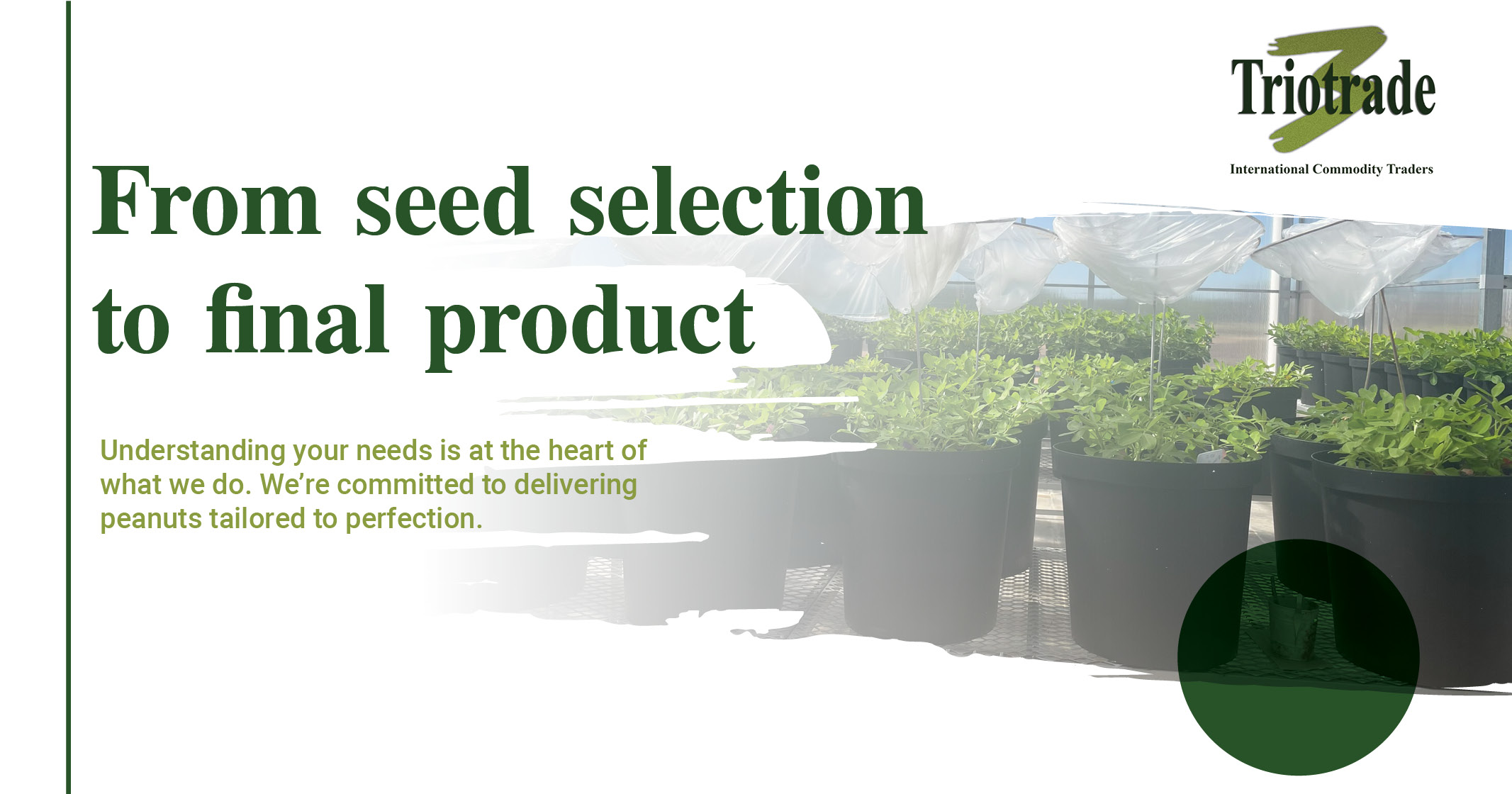 From seed selection to final product | Triotrade