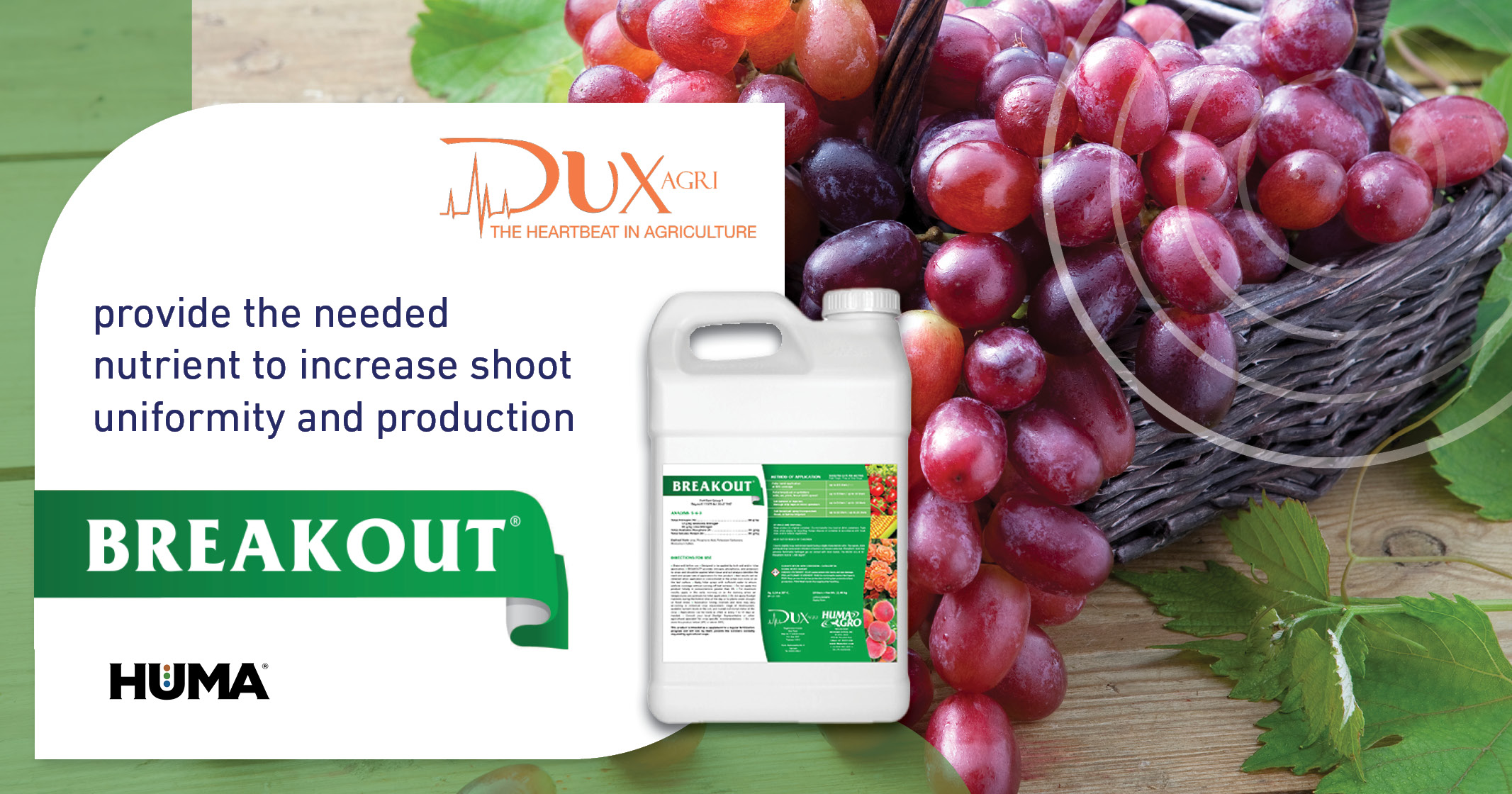 Breakout® | DuxAgri