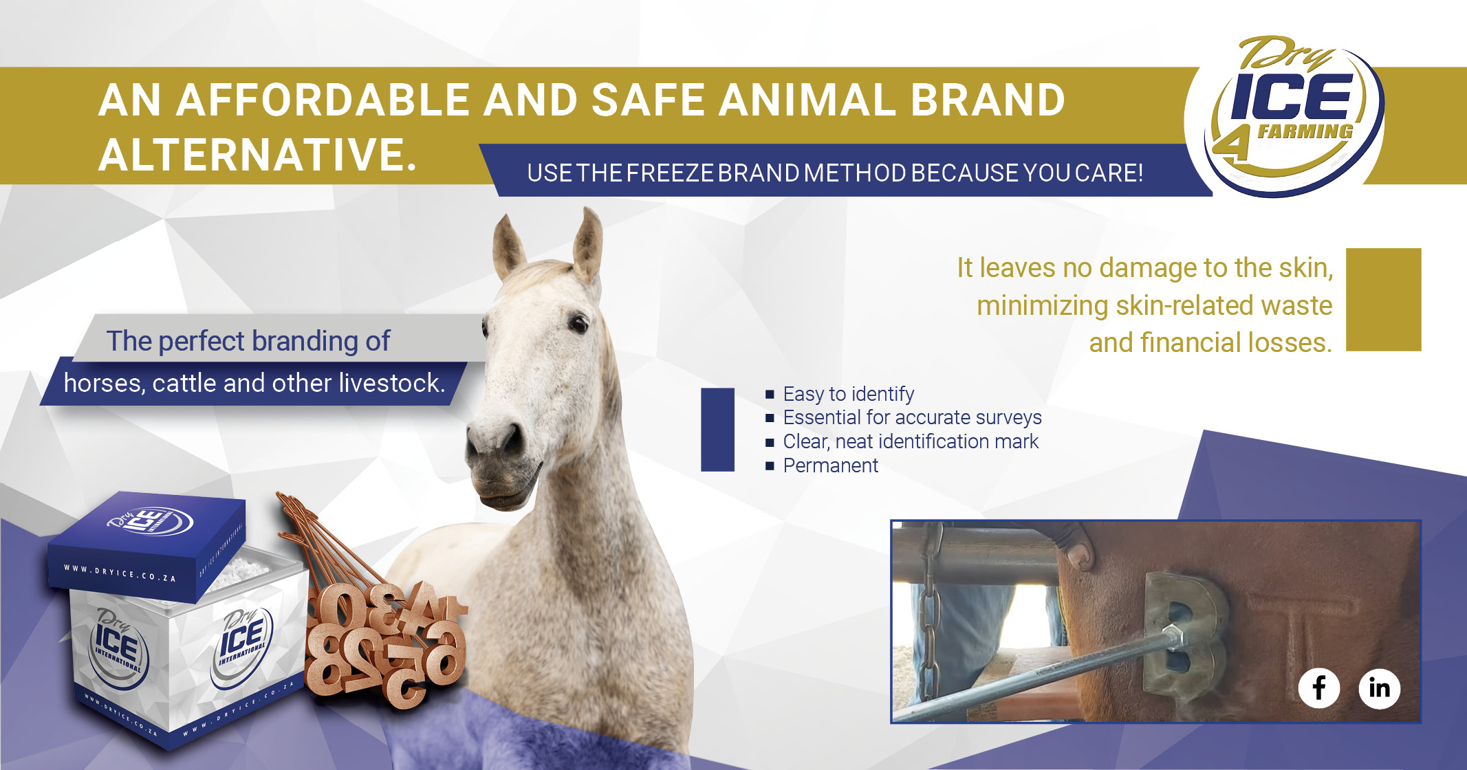 The perfect branding of horses, cattle and other livestock | Dry Ice 4 Farming