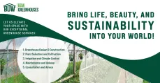 Let us elevate your space with our exceptional greenhouse services | BDW Greenhouses