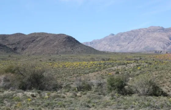 3,335Ha Farm Klaarstroom on auction | Agrisell