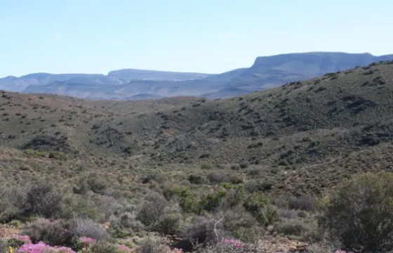 3,335Ha Farm Klaarstroom on auction | Agrisell