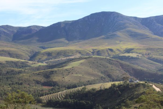 874Ha Farm For Sale in Heidelberg Rural | Agrisell