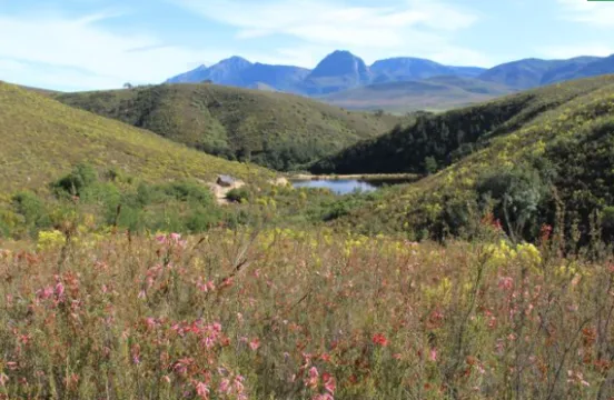 874Ha Farm For Sale in Heidelberg Rural | Agrisell