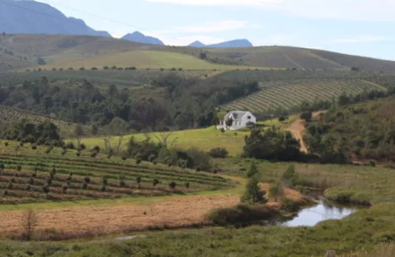 874Ha Farm For Sale in Heidelberg Rural | Agrisell