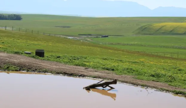 22Ha Farm For Sale in Caledon | Agrisell