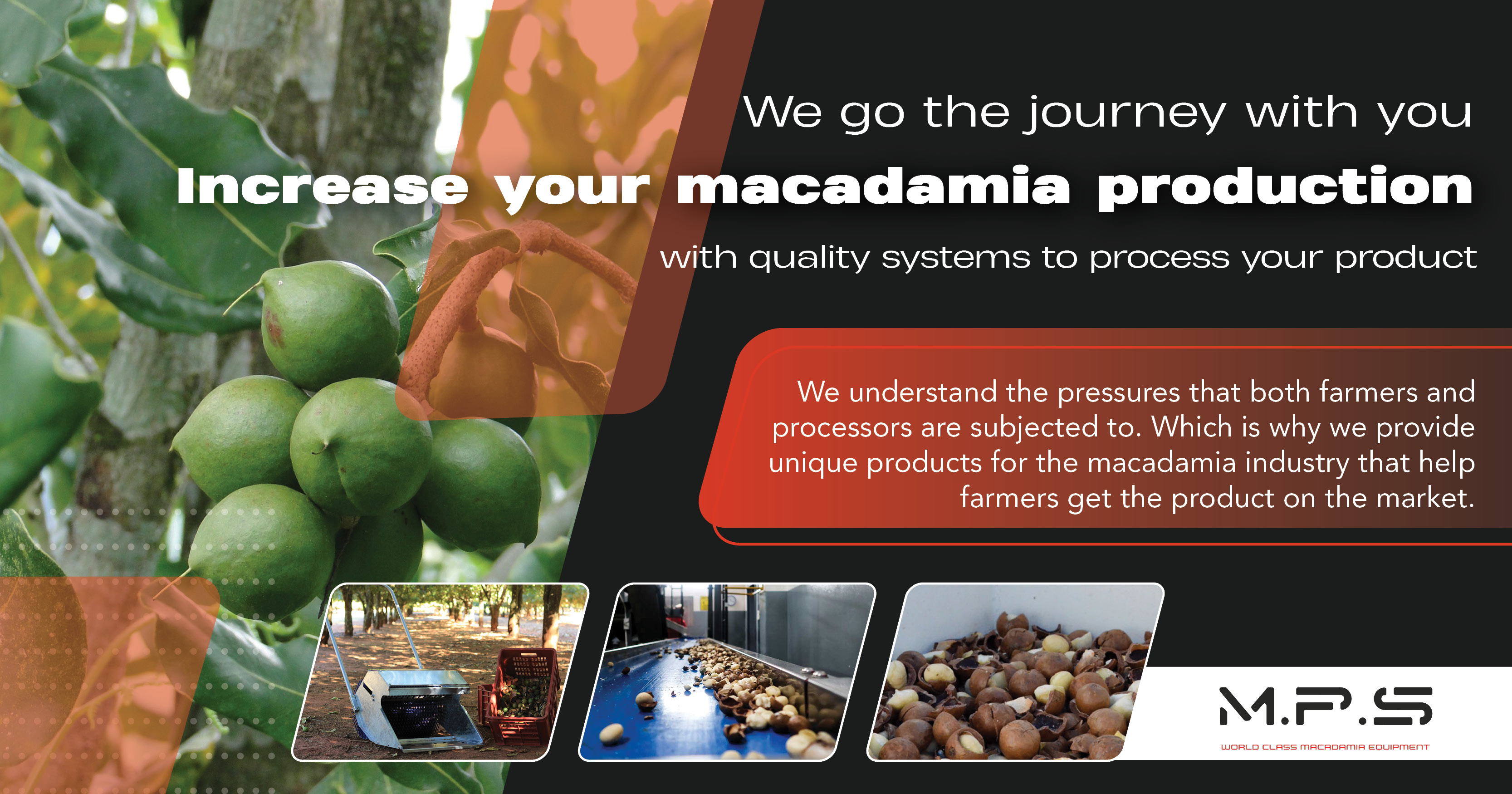 Quality systems to process your product | MPS/World Class Macadamia Equipment