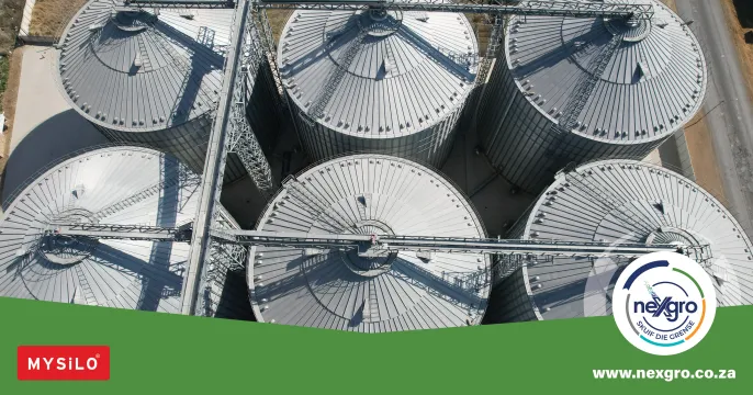 Choose you Silo-tion | neXgro