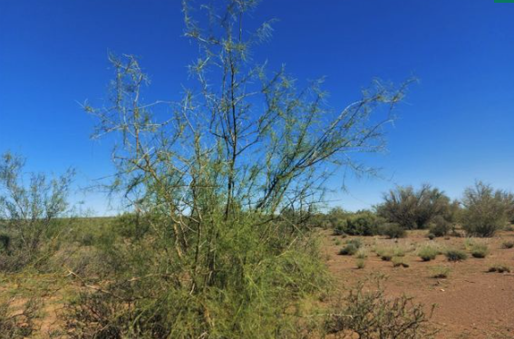 2,569Ha Farm For Sale in Calvinia Rural | Agrisell