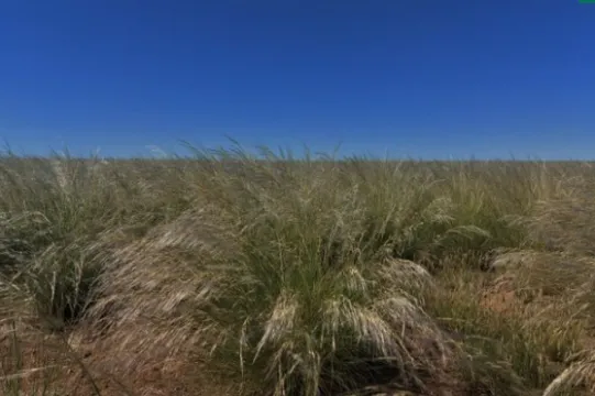 2,569Ha Farm For Sale in Calvinia Rural | Agrisell