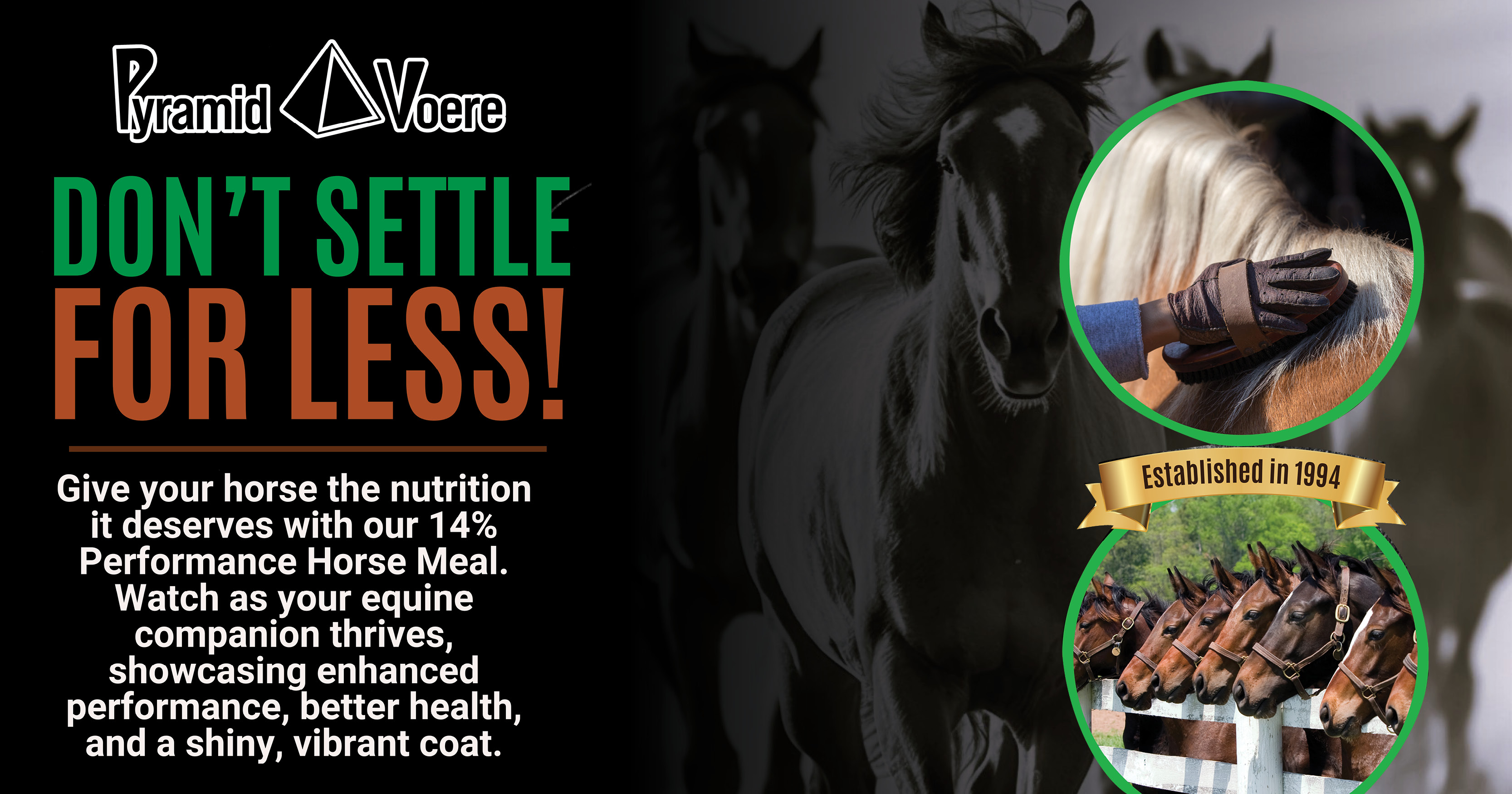 Don't settle for less! get our 14% performance meal for horses today | Pyramid Voere