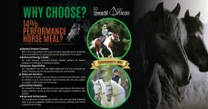 Why choose 14% performance horse meal? | Pyramid Voere