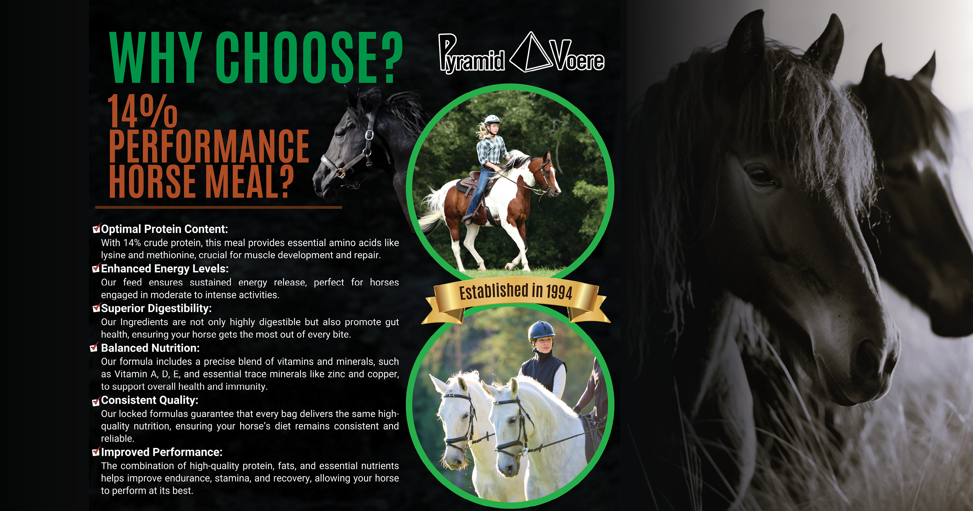 Why choose 14% performance horse meal? | Pyramid Voere