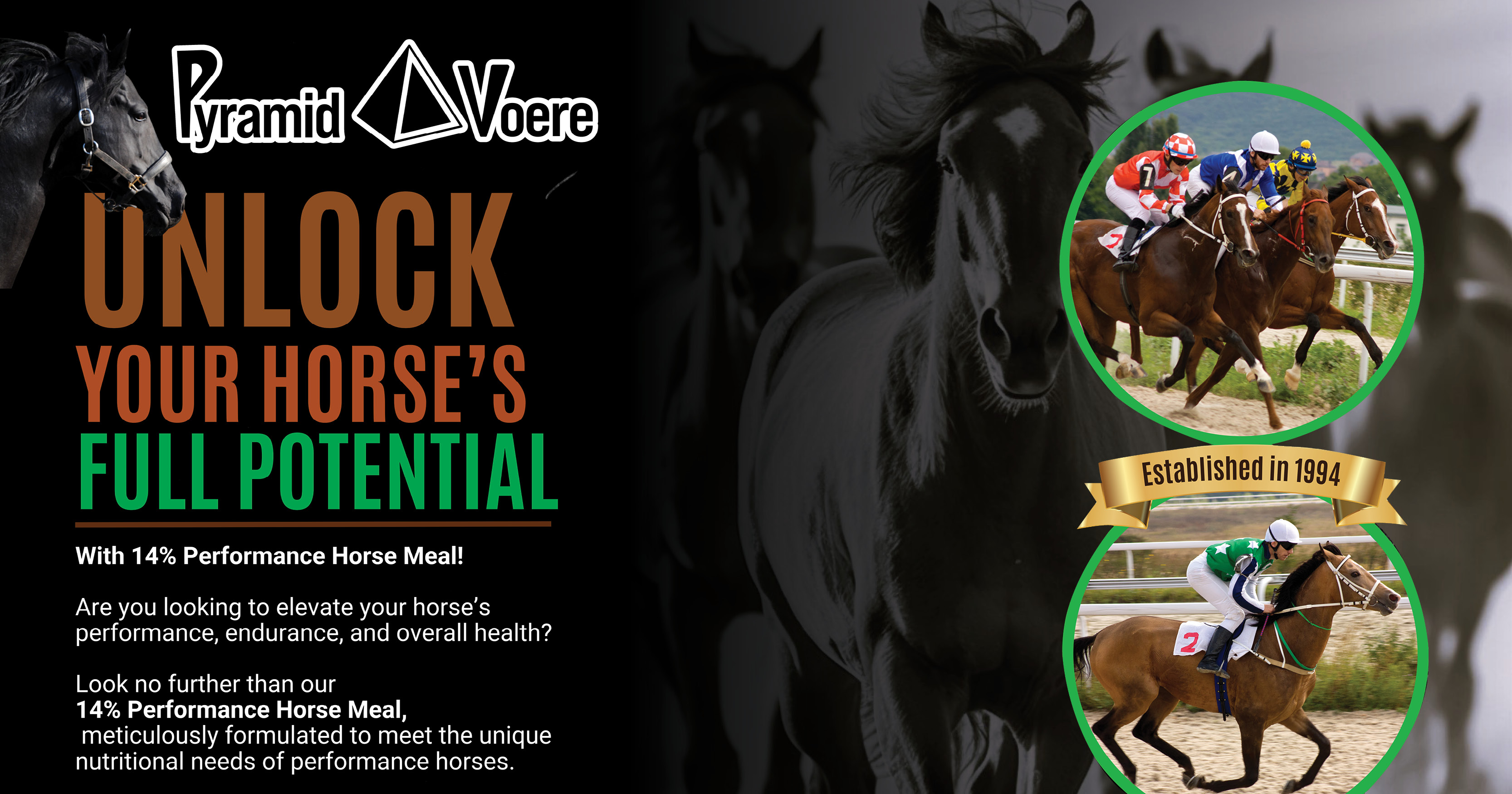 Unlock your horse's full potential with 14% Performance Horse Meal! | Pyramid Voere
