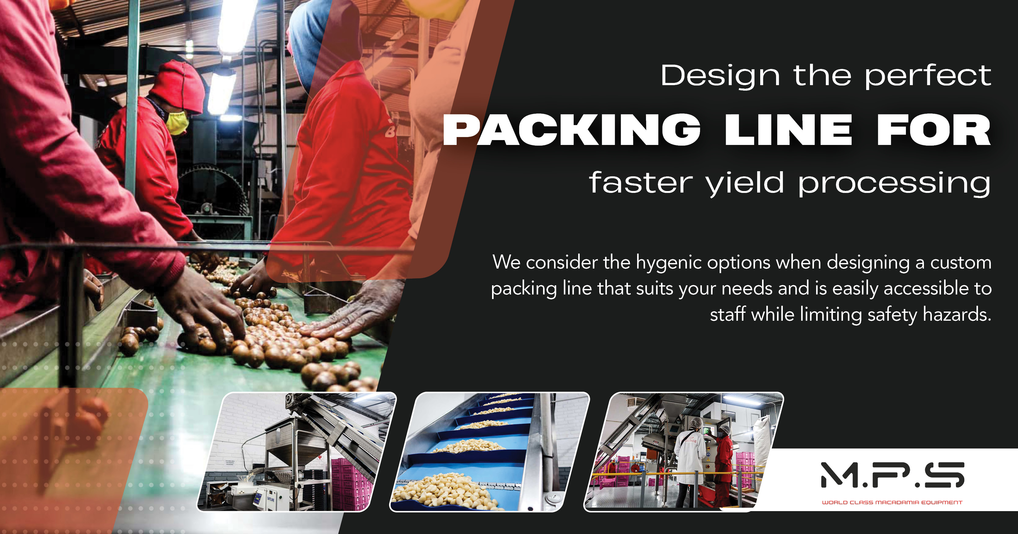 Design the perfect packing line for faster yield processing | MPS/World Class Macadamia Equipment