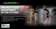 Protect your investment in the future with CALFGROW+Se | Four Lakes