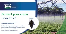 Protect your crops from frost | Turfmanzi Irrigation