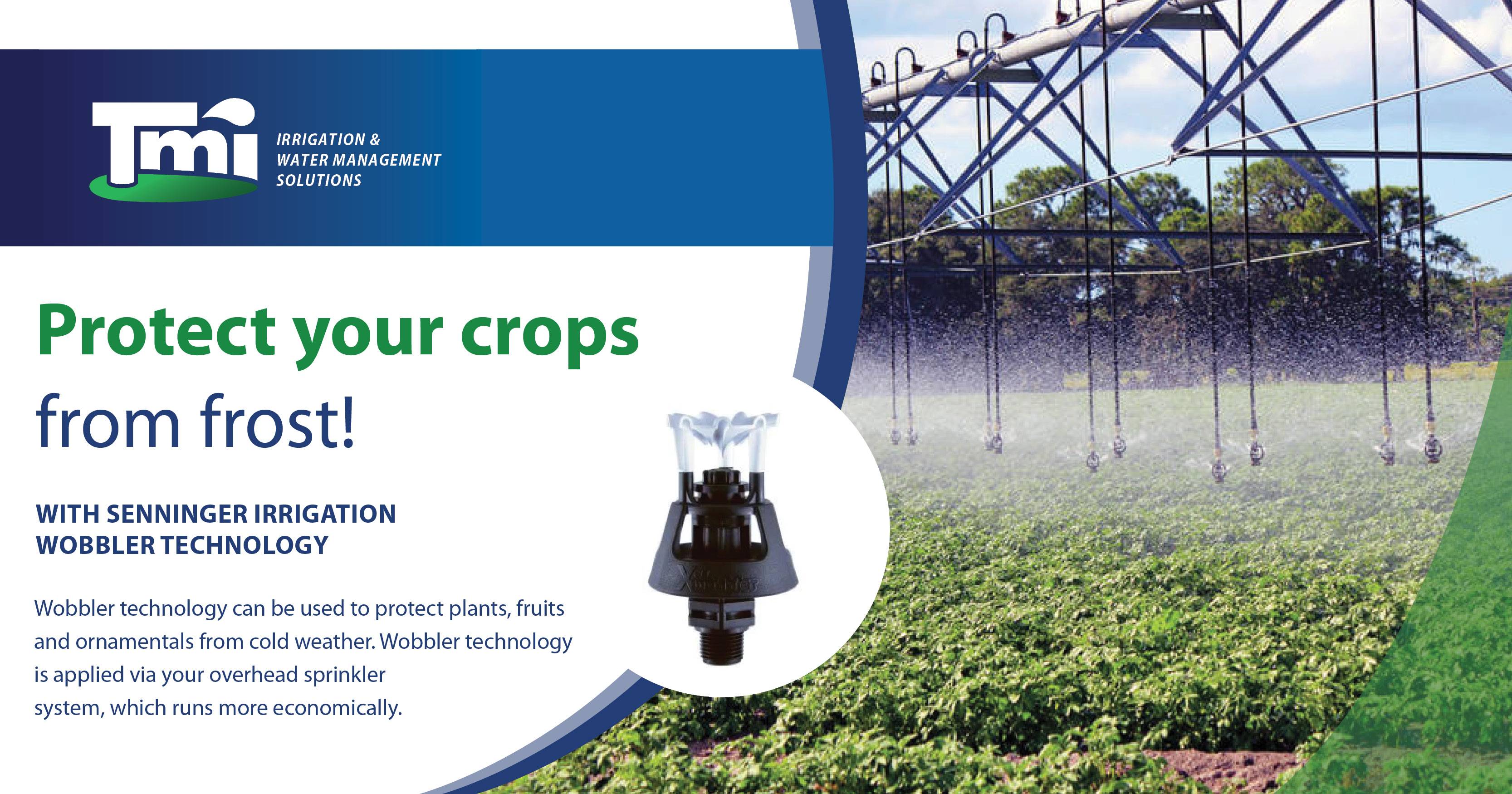 Protect your crops from frost | Turfmanzi Irrigation