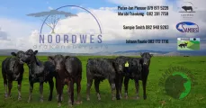 We consist of a group of enthusiastic breeders | Northwest Drakensbergers club