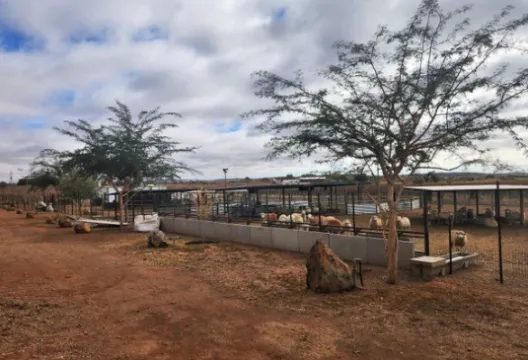 13Ha Small Holding on offer in Lambrechtsdrif | Agrisell