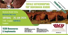 Totale uitverkoping TOP Bonsmara kudde | 26 Januarie 2024 | Frankfort