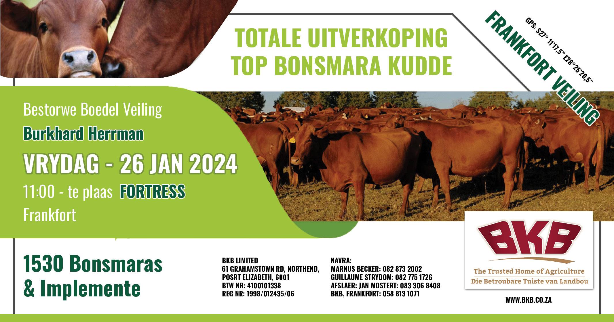 Totale uitverkoping TOP Bonsmara kudde | 26 Januarie 2024 | Frankfort