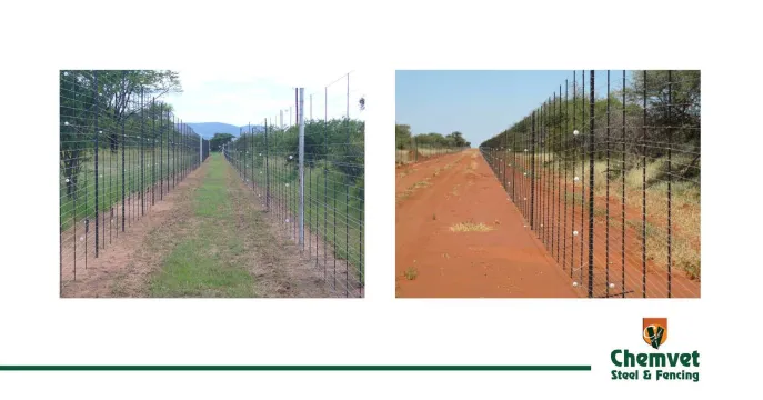 The right fencing matters | Chemvet Steel & Fencing